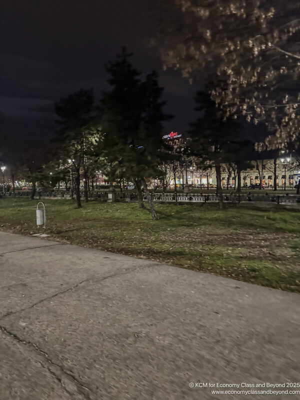 a sidewalk and trees at night