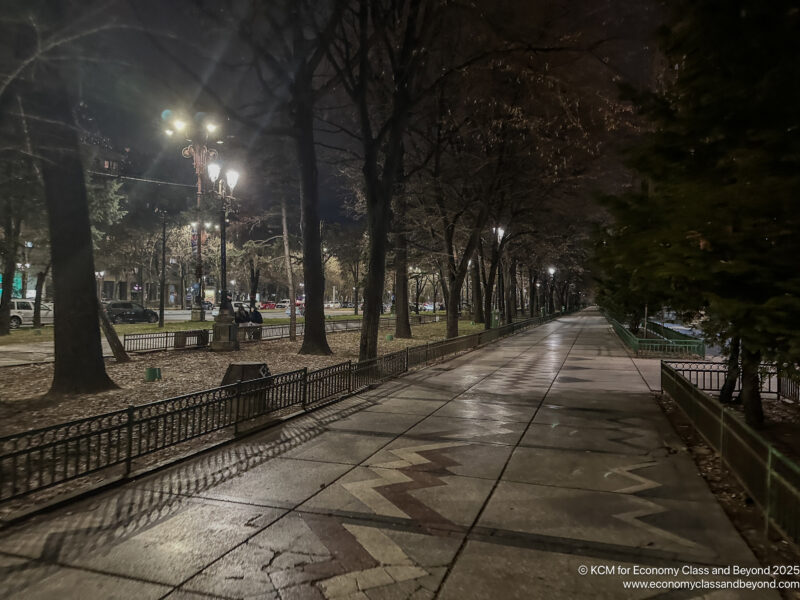 a sidewalk with trees and lights at night