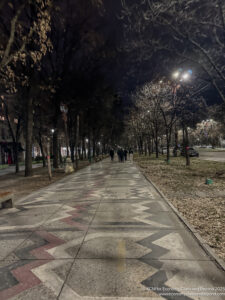 a sidewalk with trees and people walking