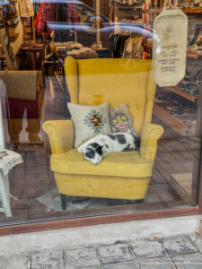 a cat lying on a chair