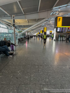 people in an airport terminal