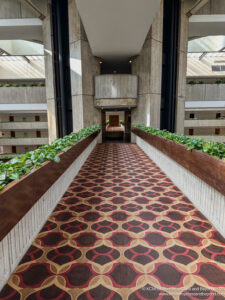 a hallway with plants on the floor