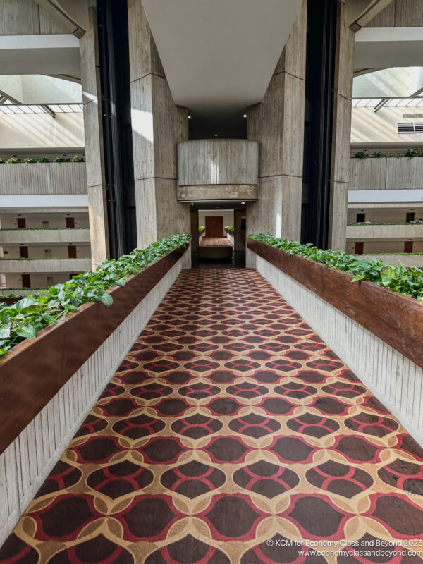 a hallway with plants on the floor