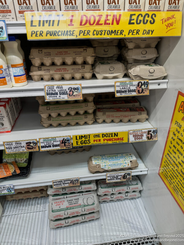 shelves of eggs on shelves in a grocery store