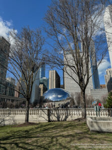 a park with trees and a large silver dome in the middle