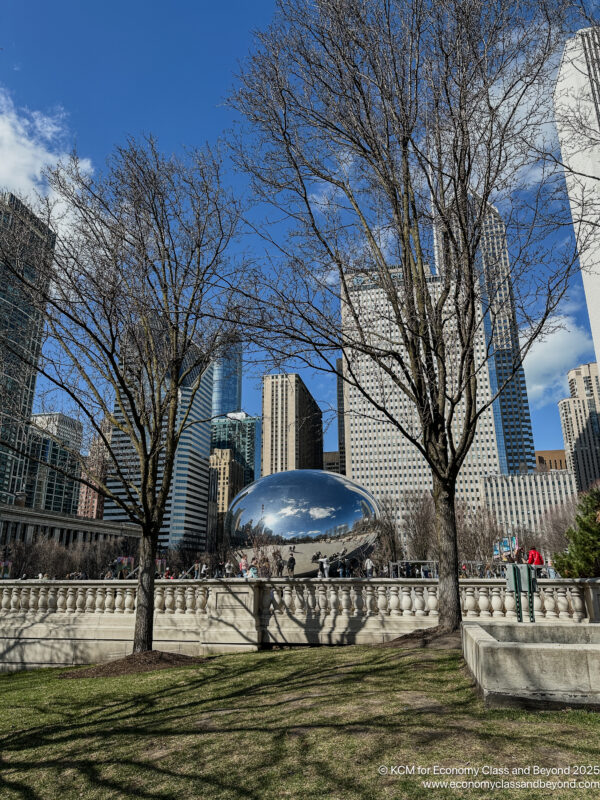 a park with trees and a large silver dome in the middle