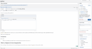 An example blog post on Economy class and beyond - Yes, there are easter eggs.