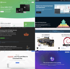 Choose a Linux Distro. Any distro.