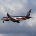 Royal Jordanian Boeing 787-8 "Discover Petra" arriving at Chicago O'Hare - Image, Economy Class and Beyond