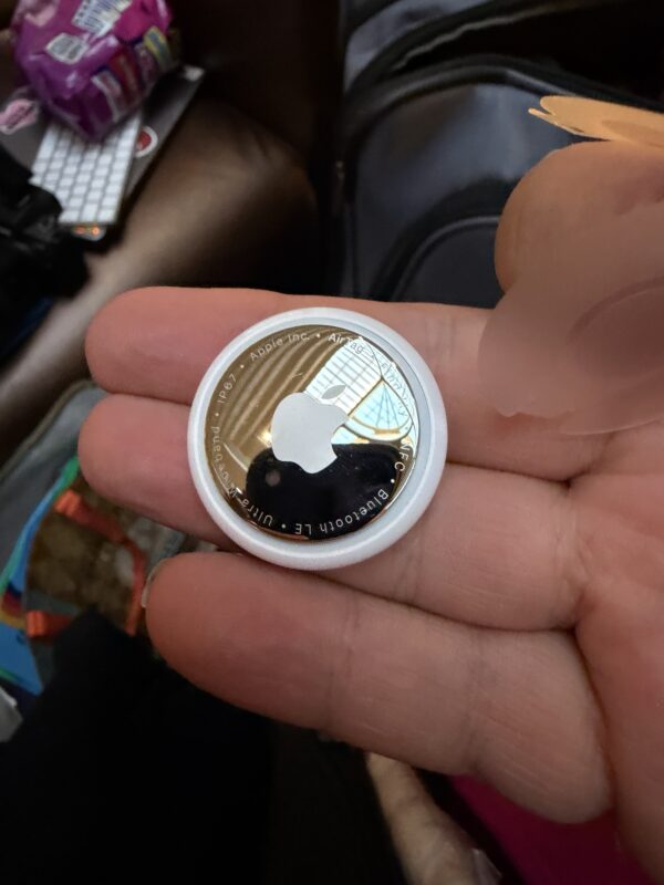 a hand holding a silver coin