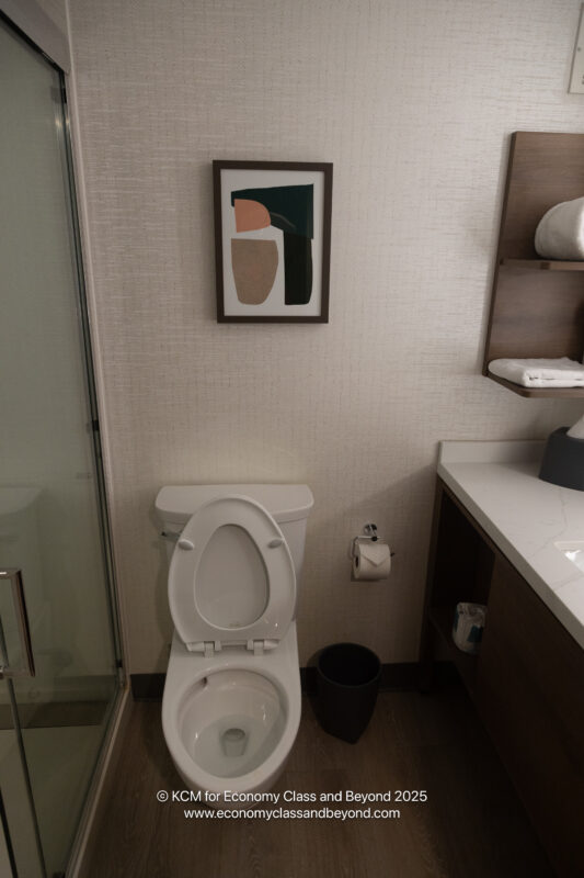 a bathroom with a toilet and a picture on the wall