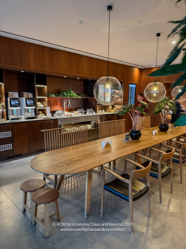 a long table with chairs and a large plant in front of it
