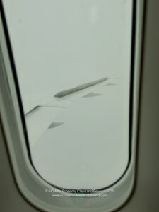 a window with a plane wing