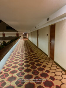 a hallway with doors and carpet