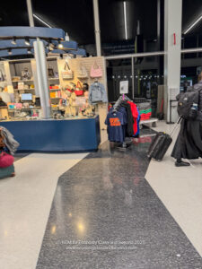 a person with luggage in a store