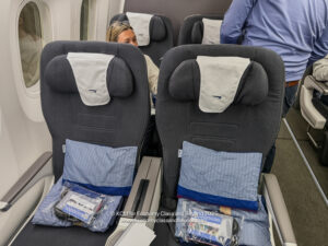 a woman sitting in a plane with two seats