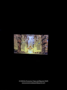 a screen shot of a video