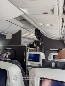 people sitting in the plane