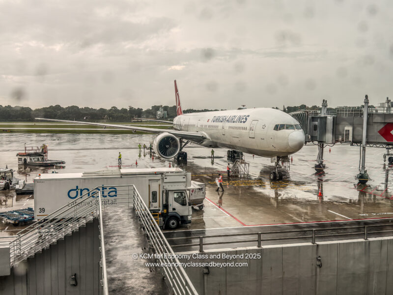 Turkish Airlines Boeing 777-300ER at Singapore Changi Airport - Image, Economy Class and Beyond