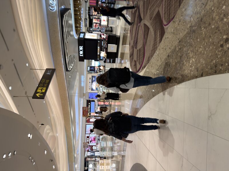 people walking in a mall