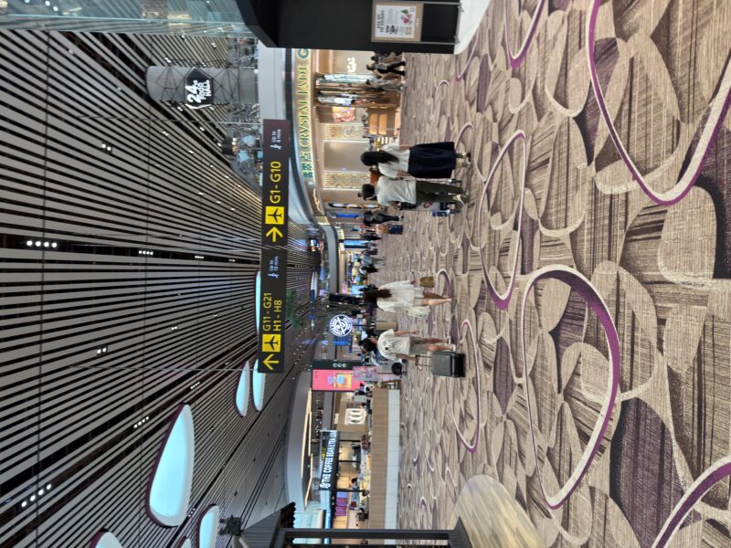 people walking in a large airport