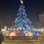Ride the Christmas Tree - not the teacups - Pidegon Park, Birmingham