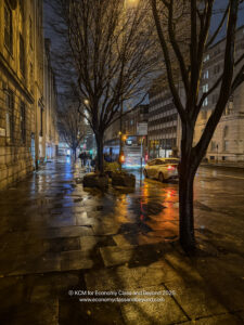 a wet street with trees and buildings at night