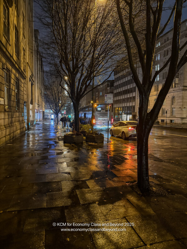 a wet street with trees and buildings at night
