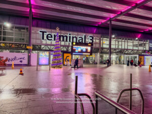 a building with a christmas tree