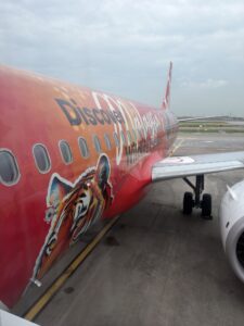 an airplane with a tiger on it