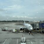 Malaysia Airlines Boeing 737-800 - Image, Economy Class and Beyond