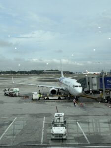 Malaysia Airlines Boeing 737-800 - Image, Economy Class and Beyond