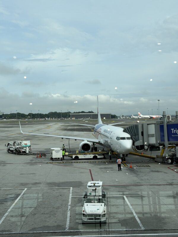 Malaysia Airlines Boeing 737-800 - Image, Economy Class and Beyond