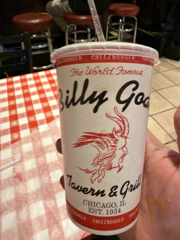 a hand holding a cup of hotdog