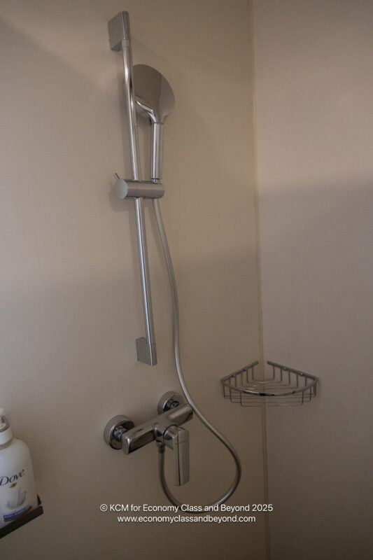 a shower head and shower head in a bathroom