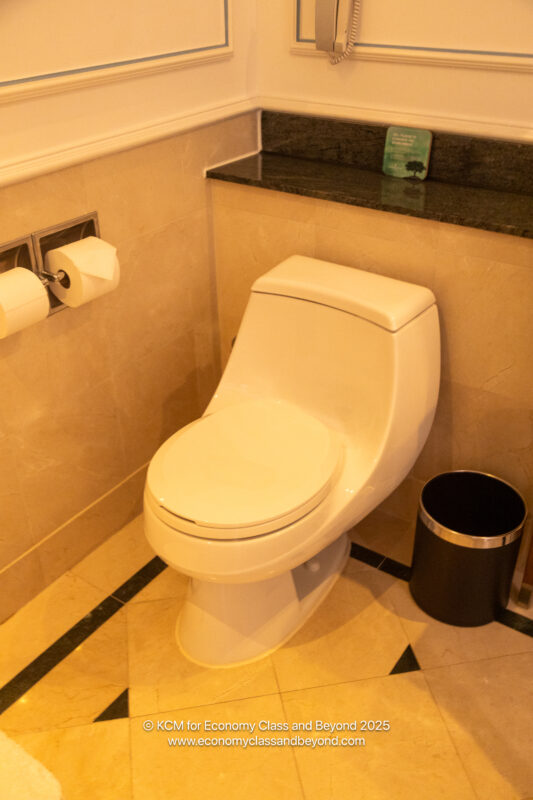 a toilet in a bathroom