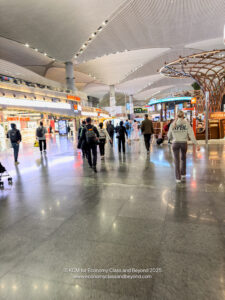 people walking in a large airport