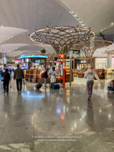 people walking in a large airport