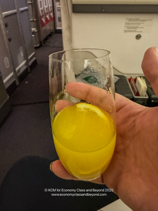 a hand holding a glass with a lemon slice in it