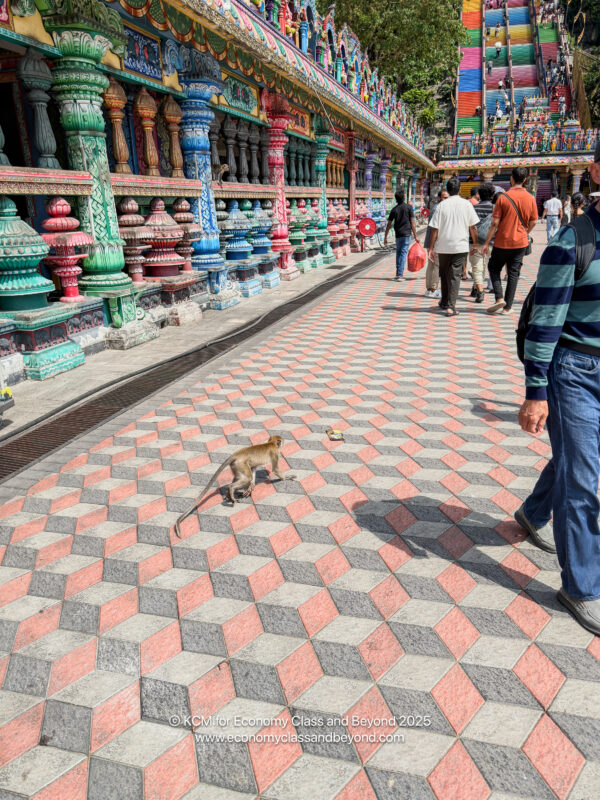 a man walking on a sidewalk with a monkey on it