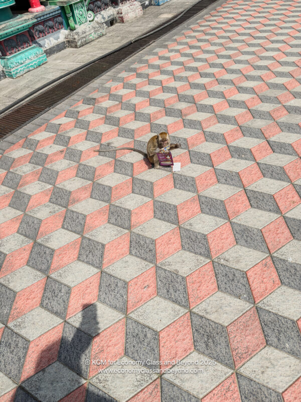 a monkey sitting on a sidewalk