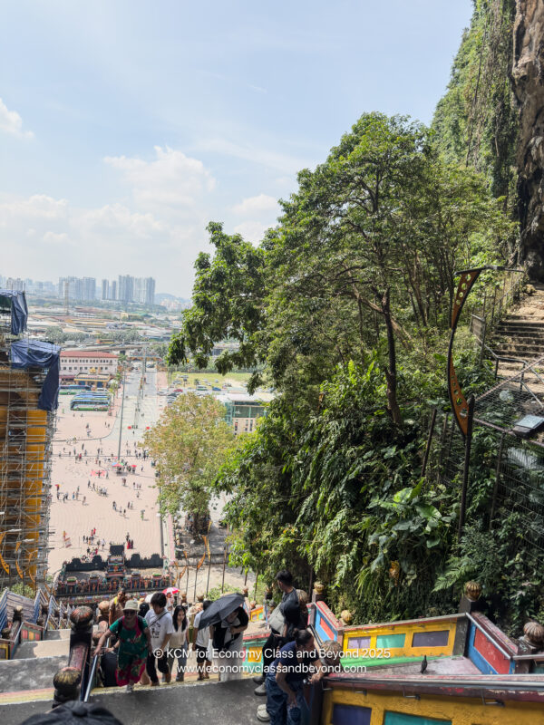 a group of people walking down a hill with trees and a city in the background