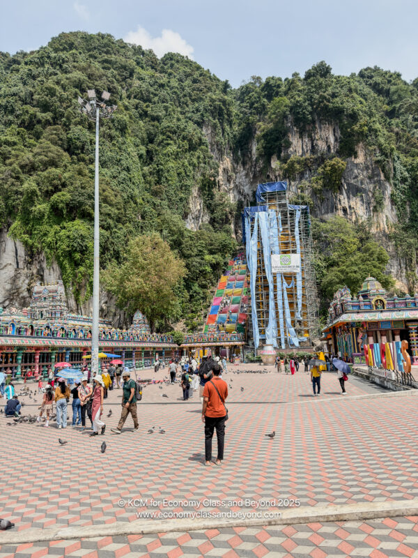 a group of people in a park