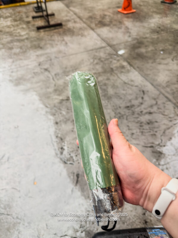 a hand holding a green object