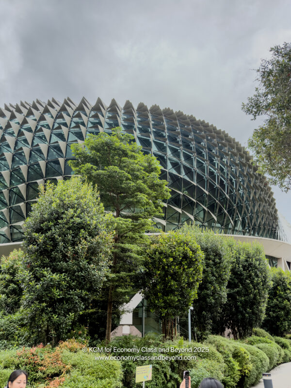 a building with trees around it