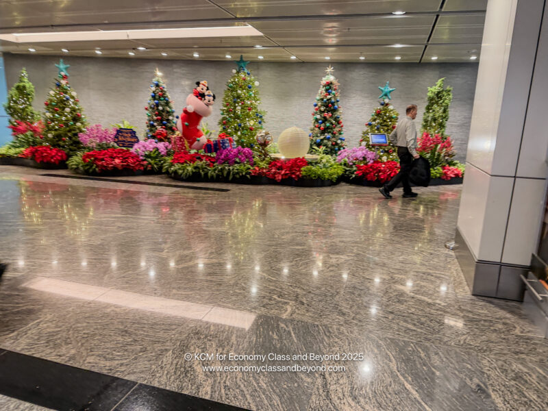 a man walking in a hallway with a group of christmas trees