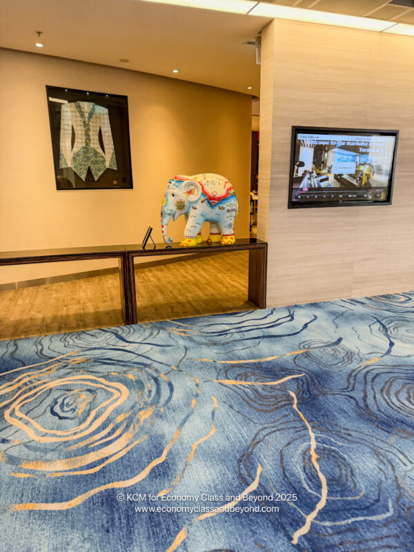 a room with a blue carpet and a blue patterned carpet
