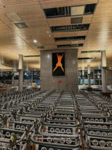 a group of luggage carts in a terminal