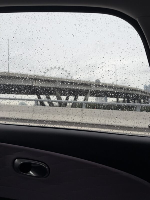 a view of a bridge through a car window