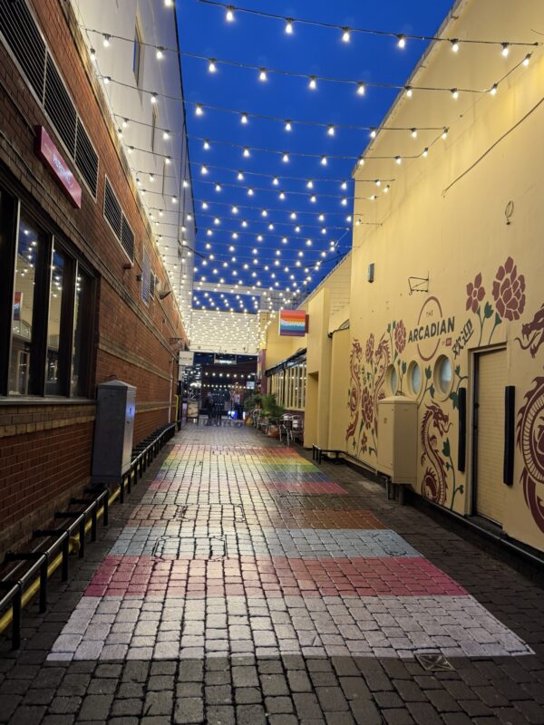 a brick walkway with lights over it